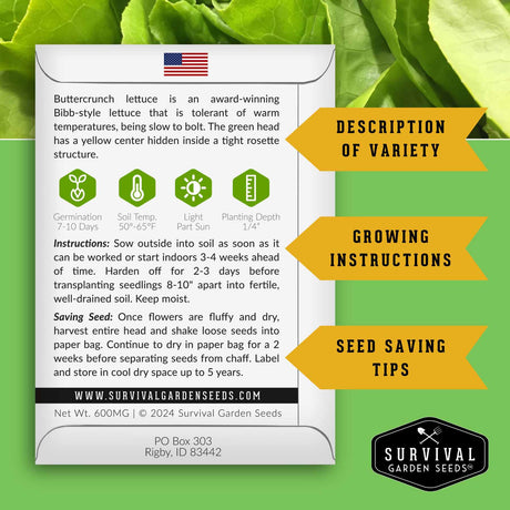 Buttercrunch Lettuce growing instructions