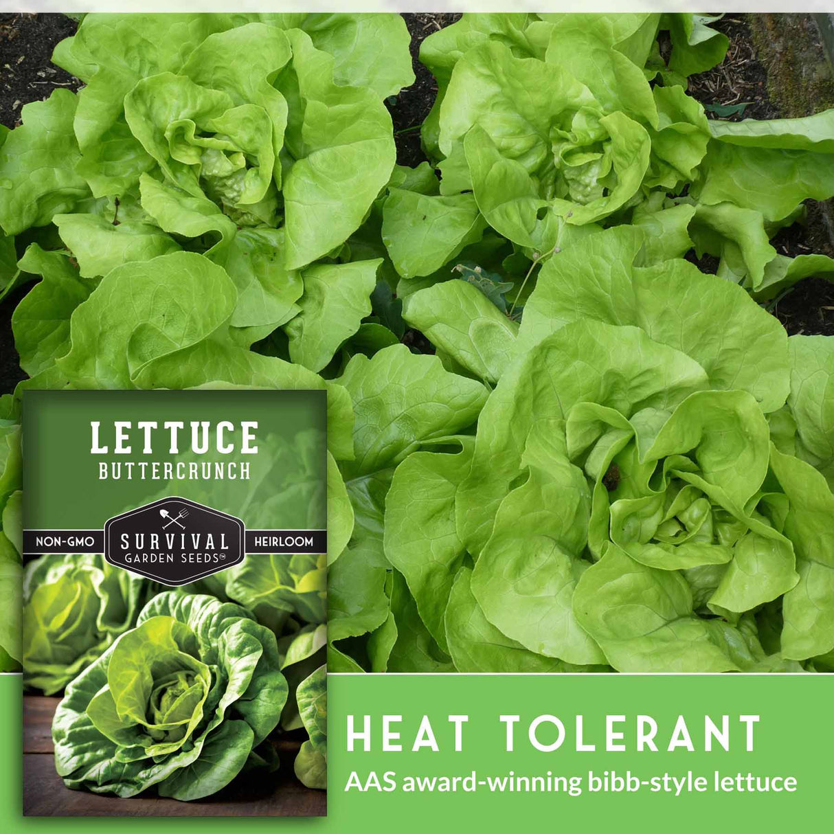 Heat tolerant
