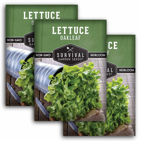 3 Packets of Survival Garden Seeds Oakleaf lettuce seeds on a white background