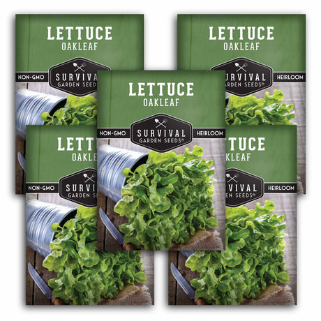 5 Packets of Survival Garden Seeds Oakleaf lettuce seeds on a white background