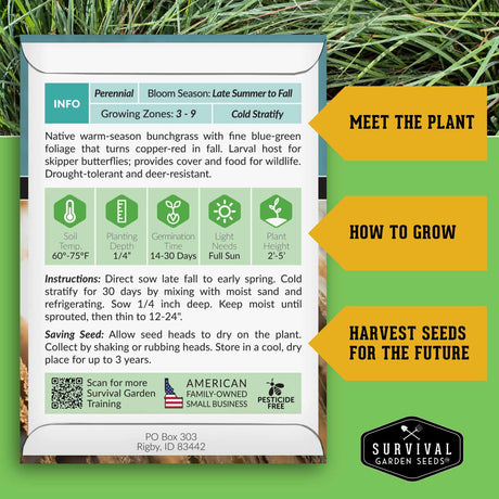 Little Bluestem growing instructions