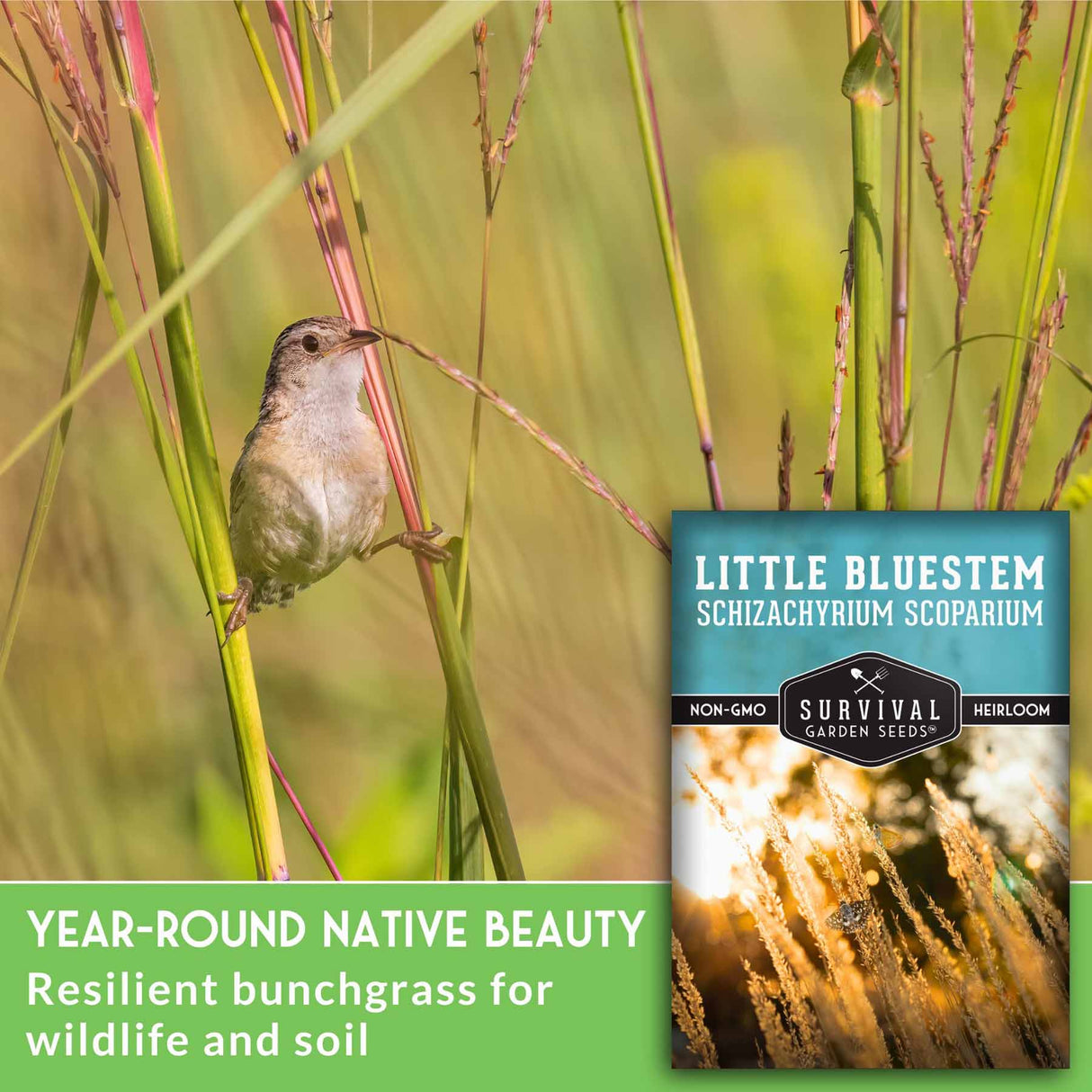 Year round native beauty