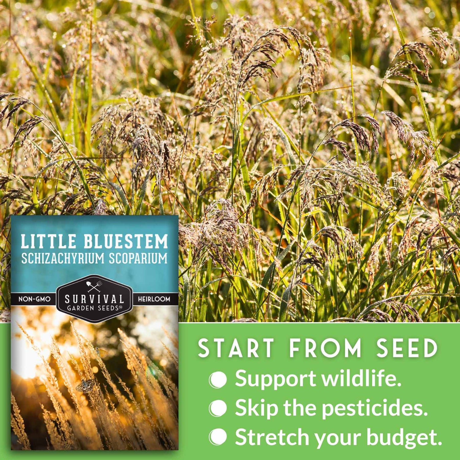 start from seed