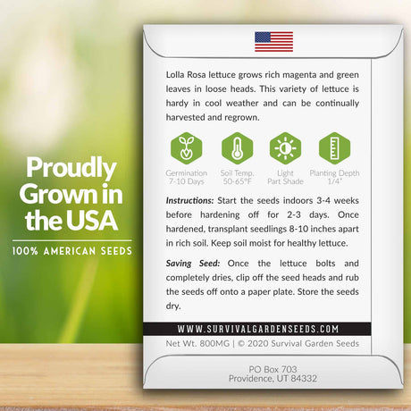 Lolla Rosa lettuce seed growing instructions