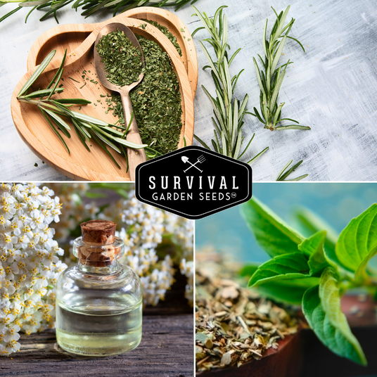 Rosemary, yarrow and sage