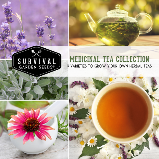 Flowers in our Medicinal tea seed collection
