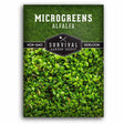 1 packet of Alfalfa Microgreens seeds