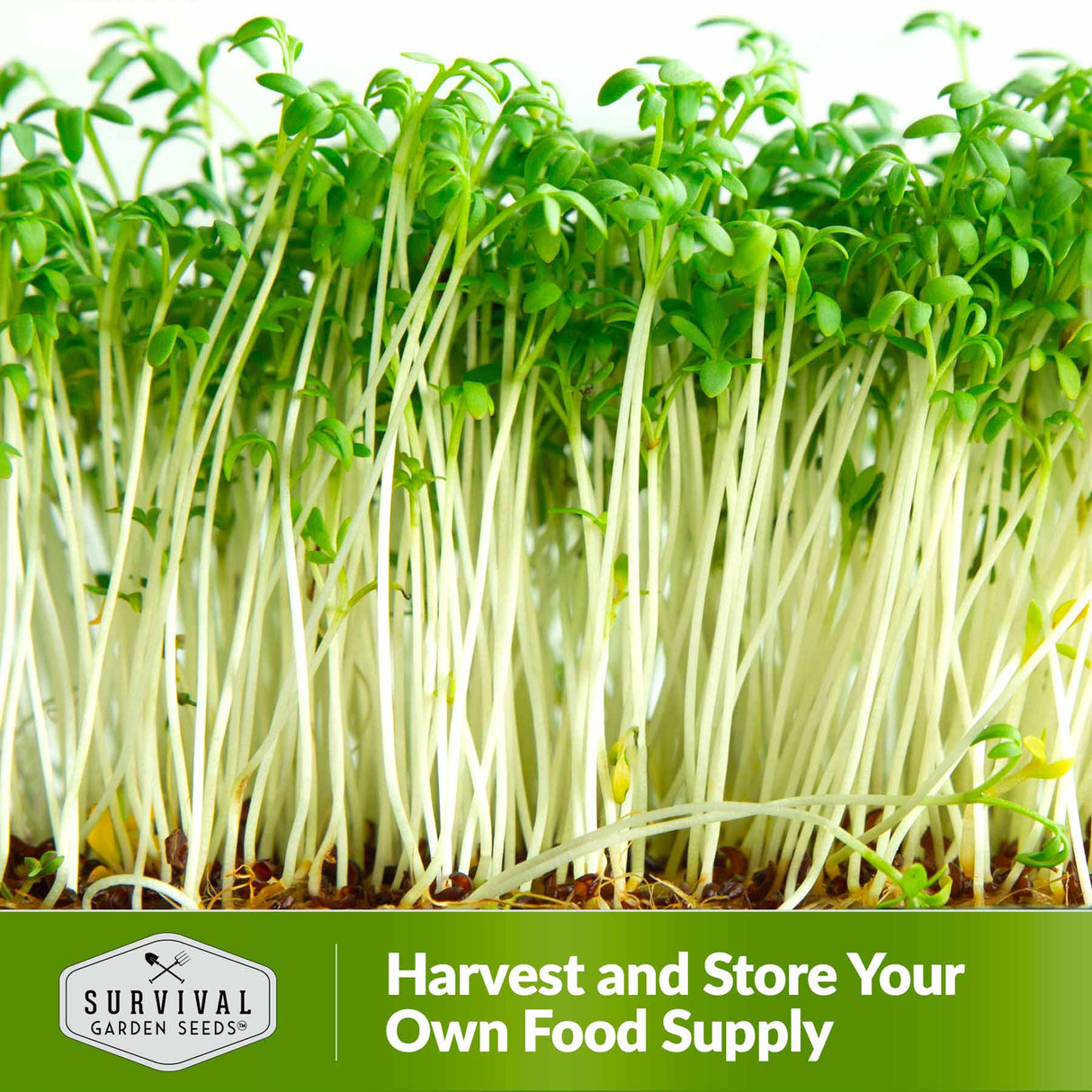 Harvest and store your own food supply