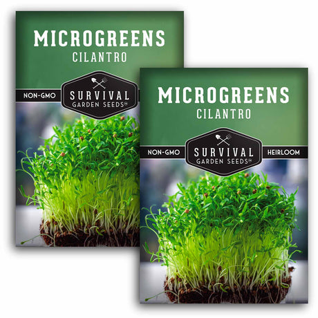 2 packets of Cilantro Microgreens seeds