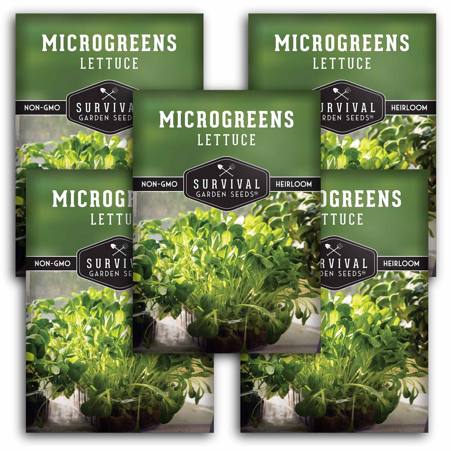 5 packets of Lettuce Microgreens seeds