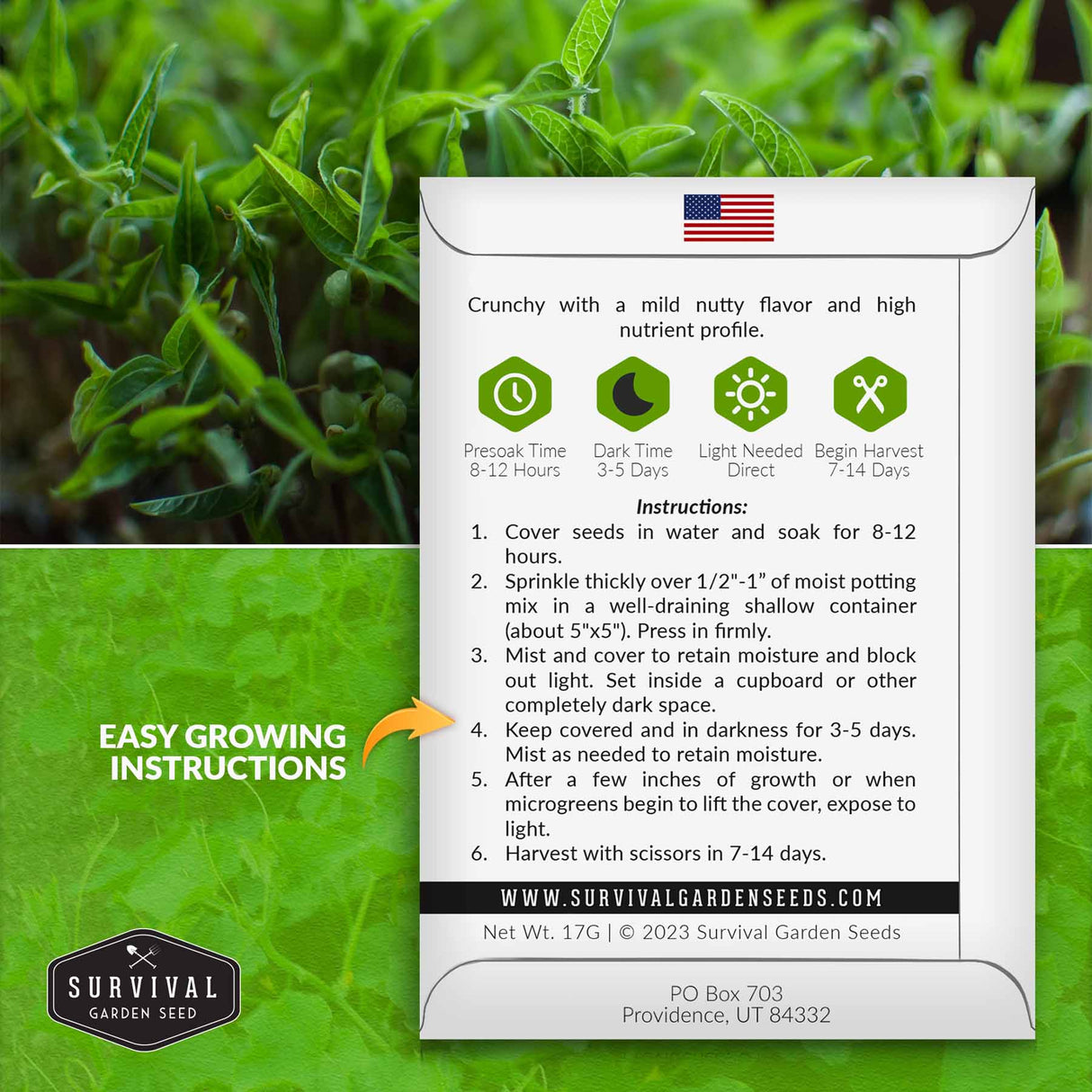 Mung bean microgreen seed growing instructions