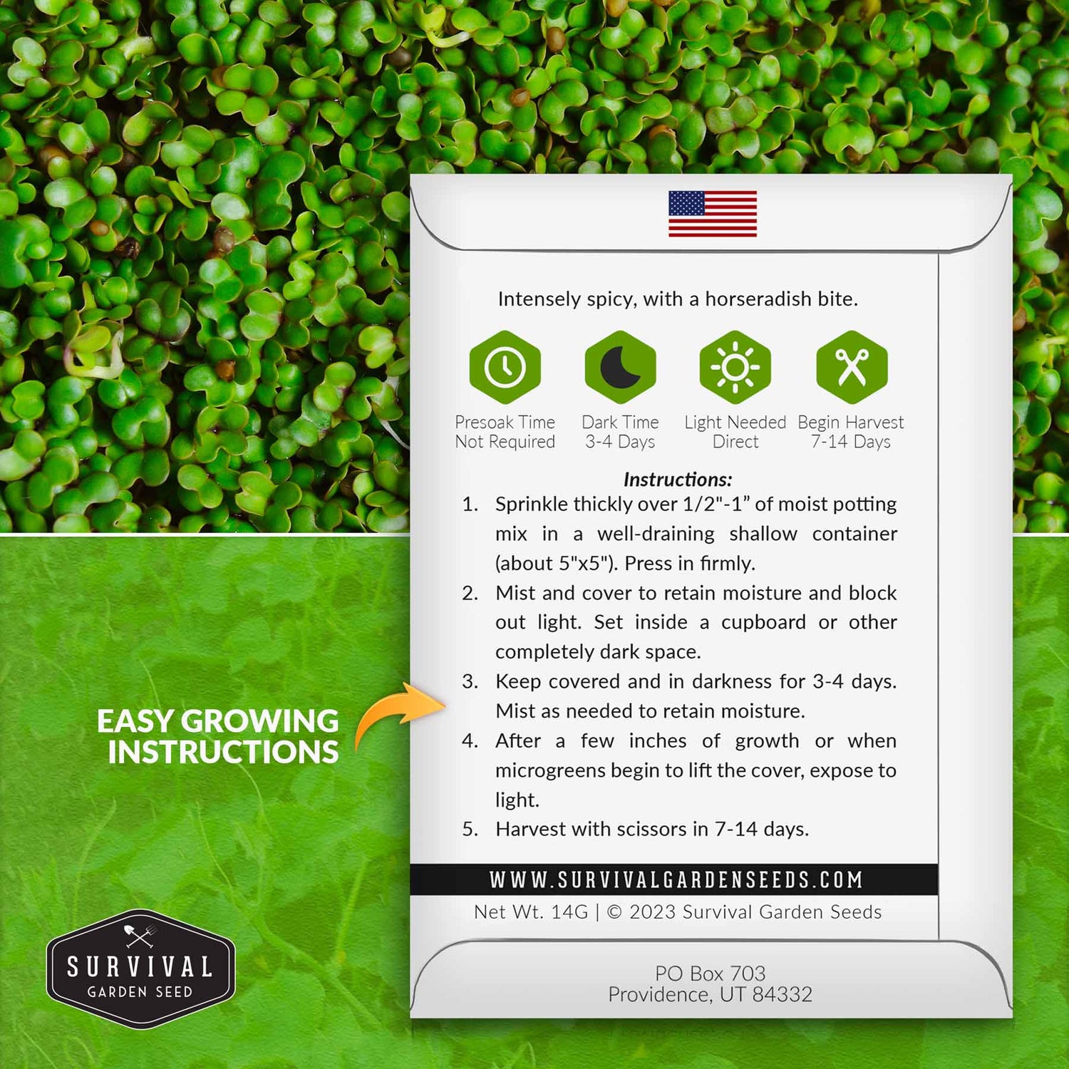 microgreen growing instructions