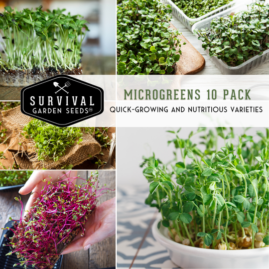 Microgreens 10 pack - quick growing and nutritious varieties