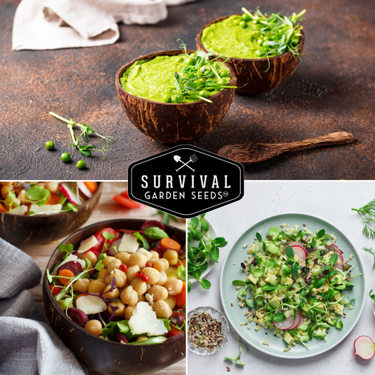 Salads and soups with microgreens