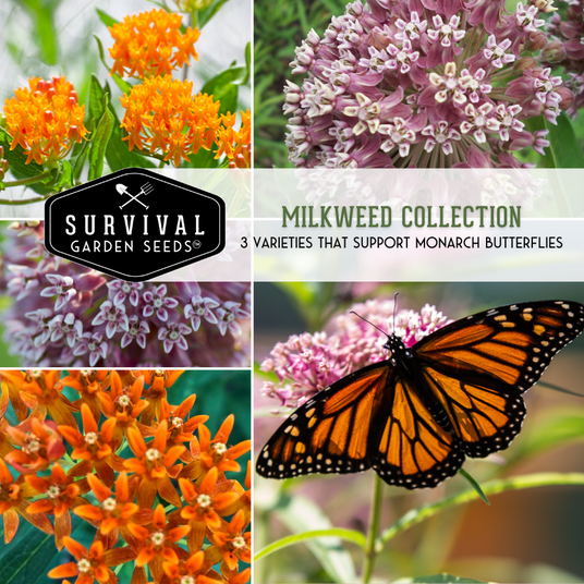 3 types of milkweed flowers in the milkweed seed collection
