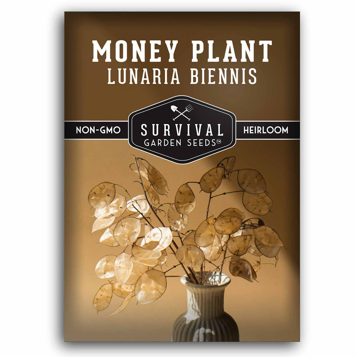 money plant lunaria seeds Money Plant Seeds – Silver Dollar Plant – SurvivalGardenSeeds
