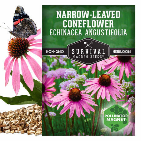 Narrow Leaved Coneflower - Echinacea Angustifolia seeds