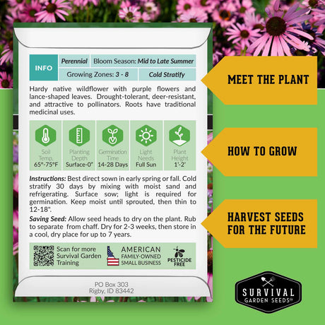 Narrow Leaved Coneflower Growing Instructions