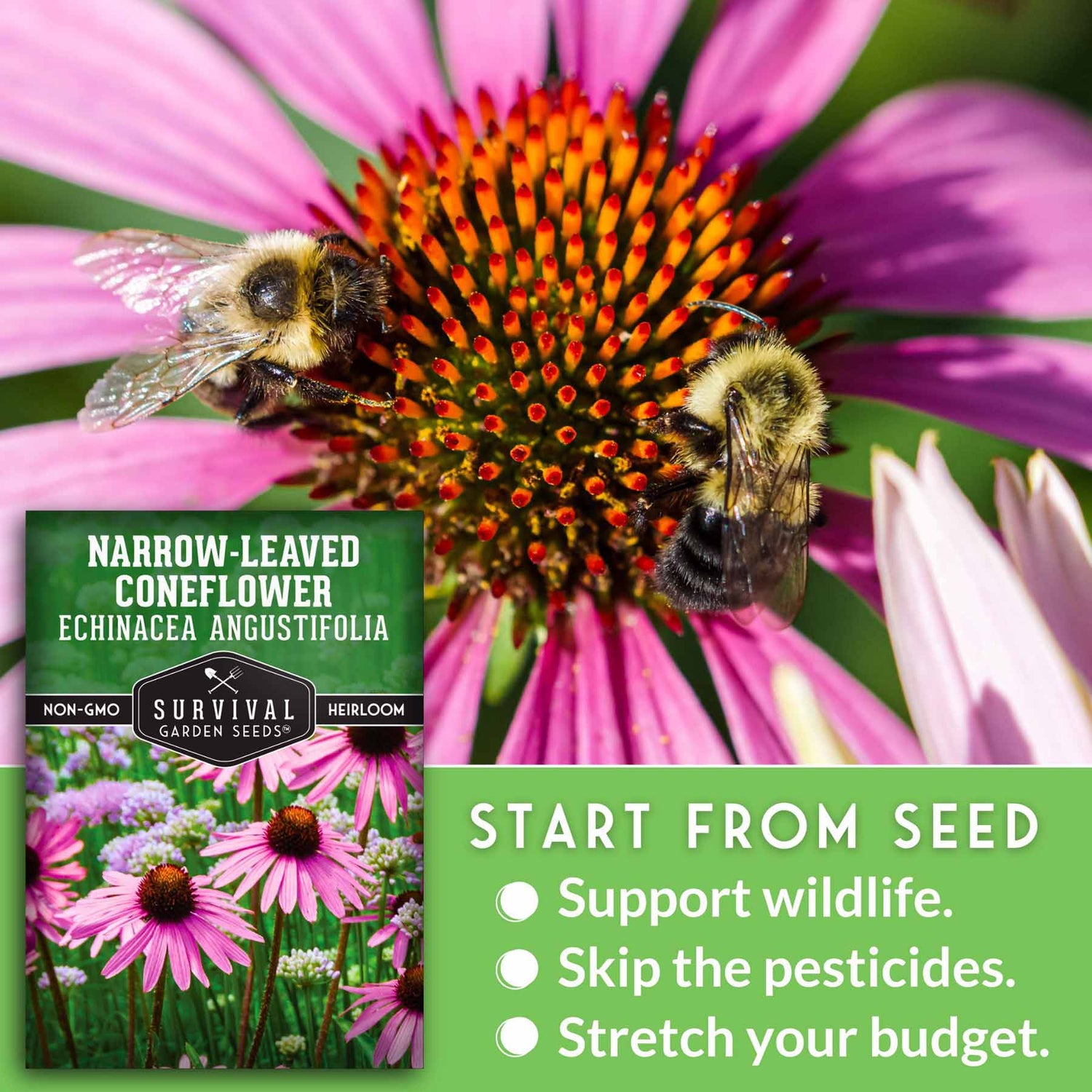 Start from seed