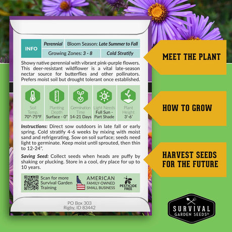 New England Aster Growing Instructions
