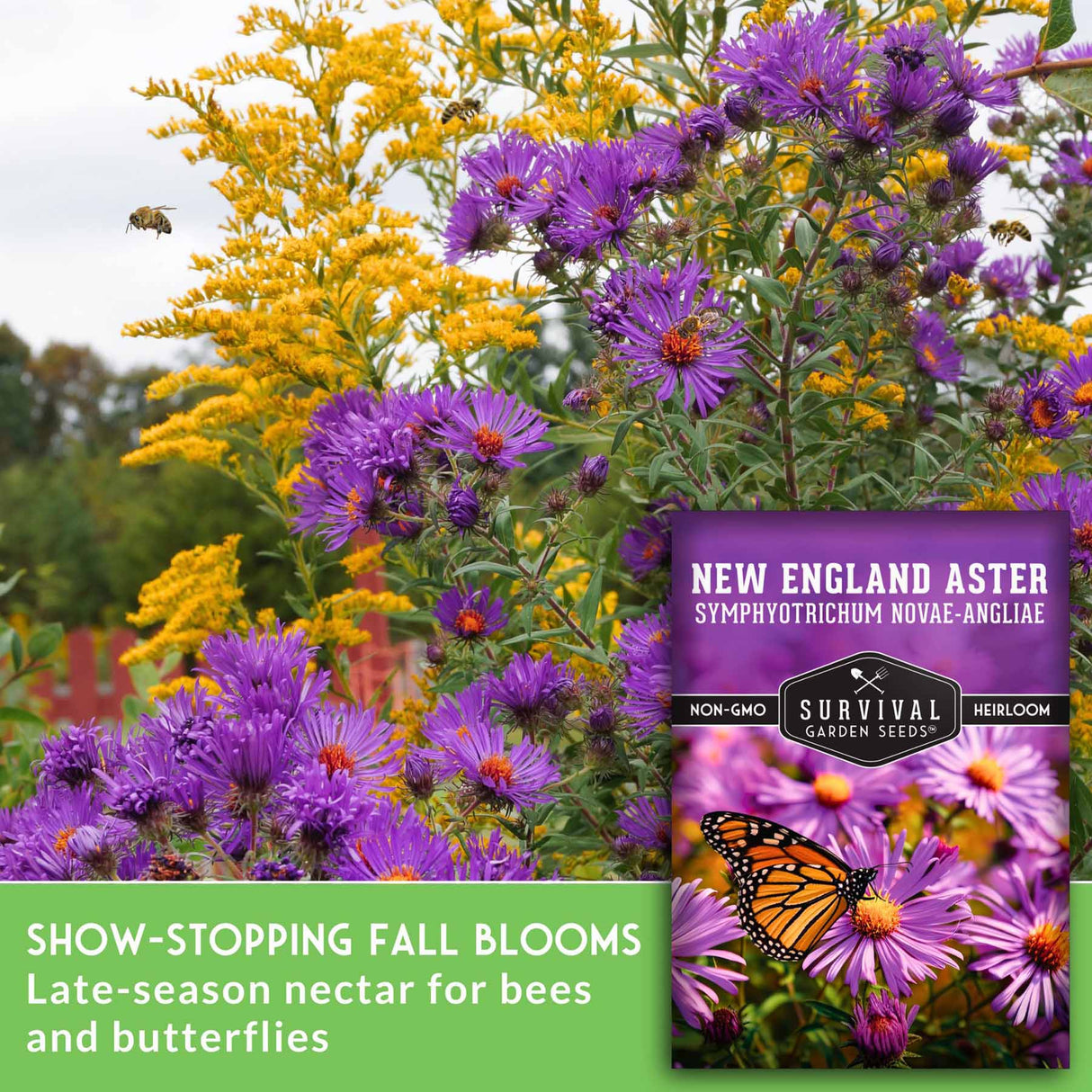 Show-stopping fall blooms