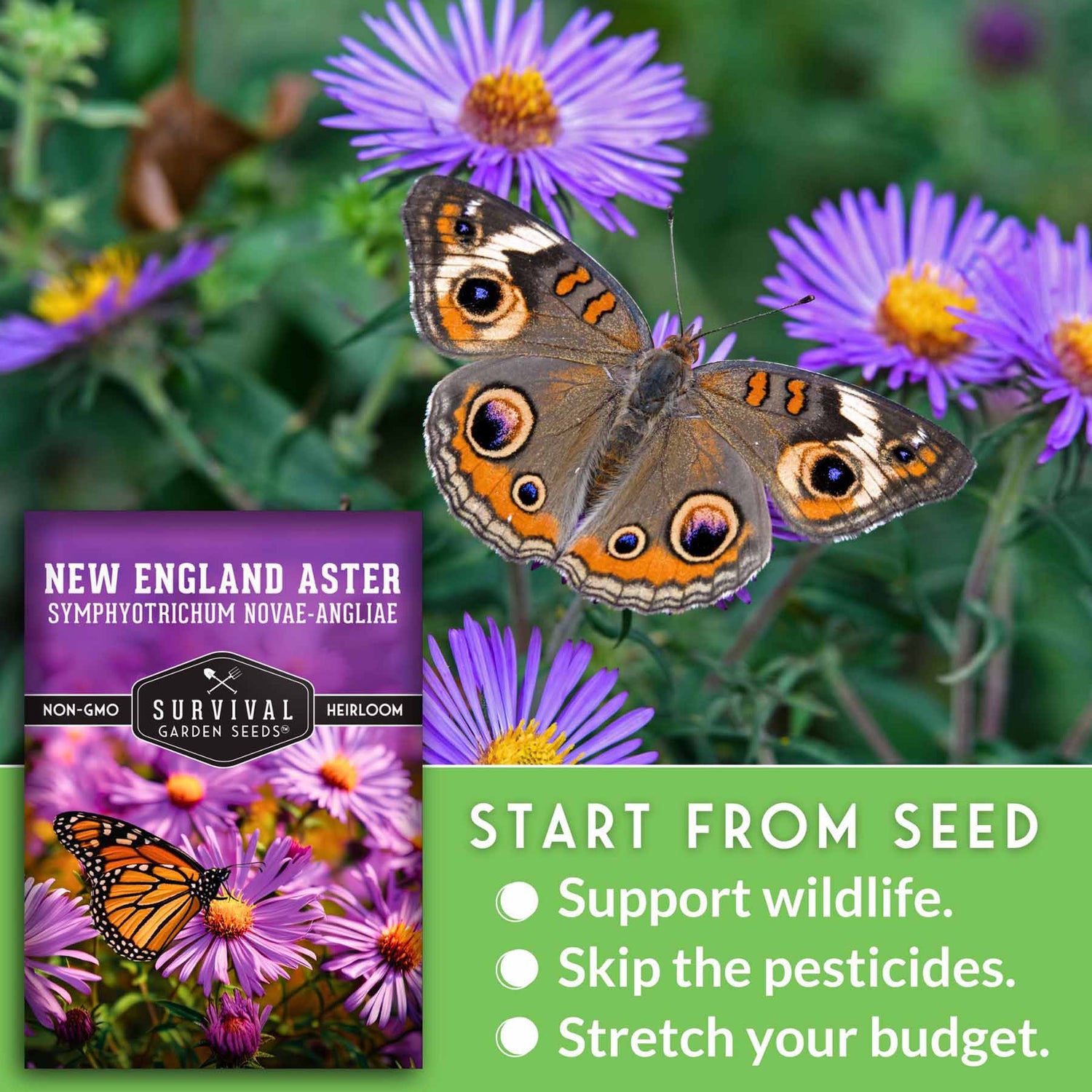 Start from Seed