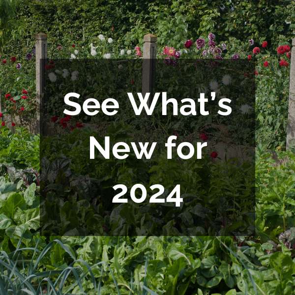 New Seed Varieties for 2024