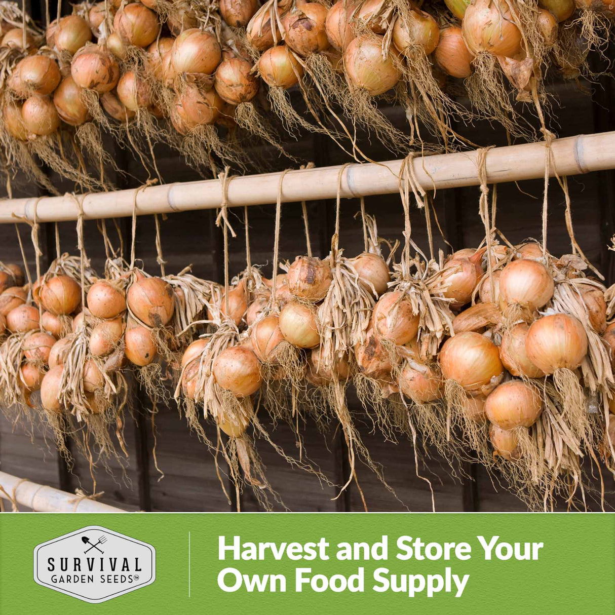 Harvest and store your own food supply
