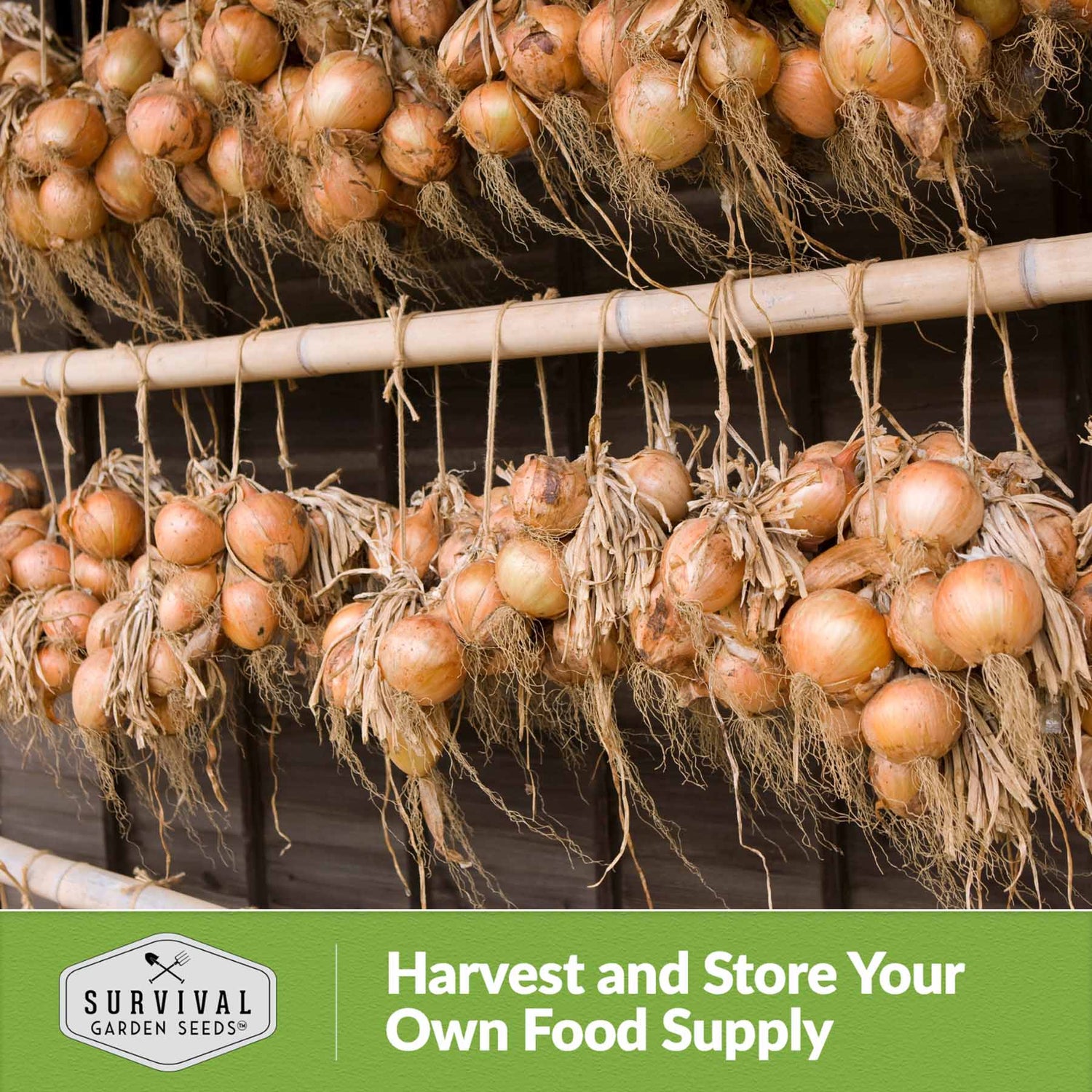 Harvest and store your own food supply