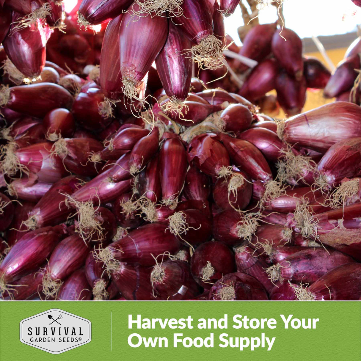 Harvest and store your own food supply