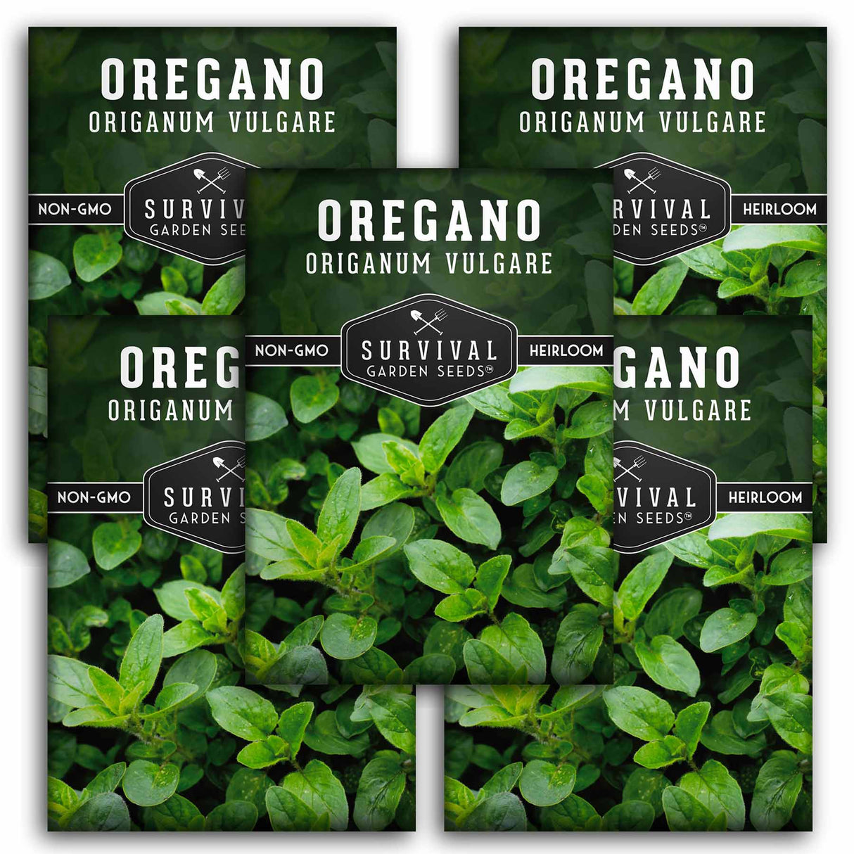 5 packets of Oregano seeds