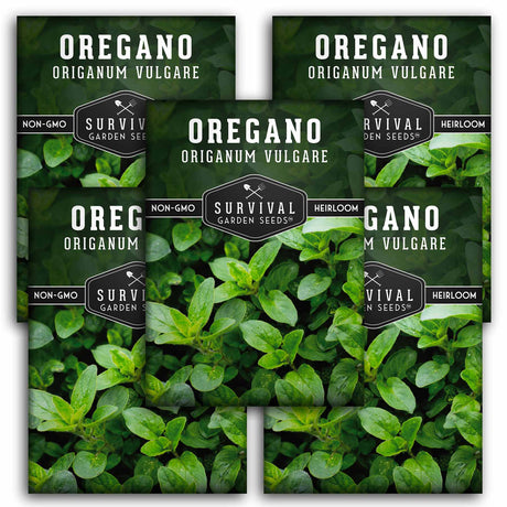 5 packets of Oregano seeds