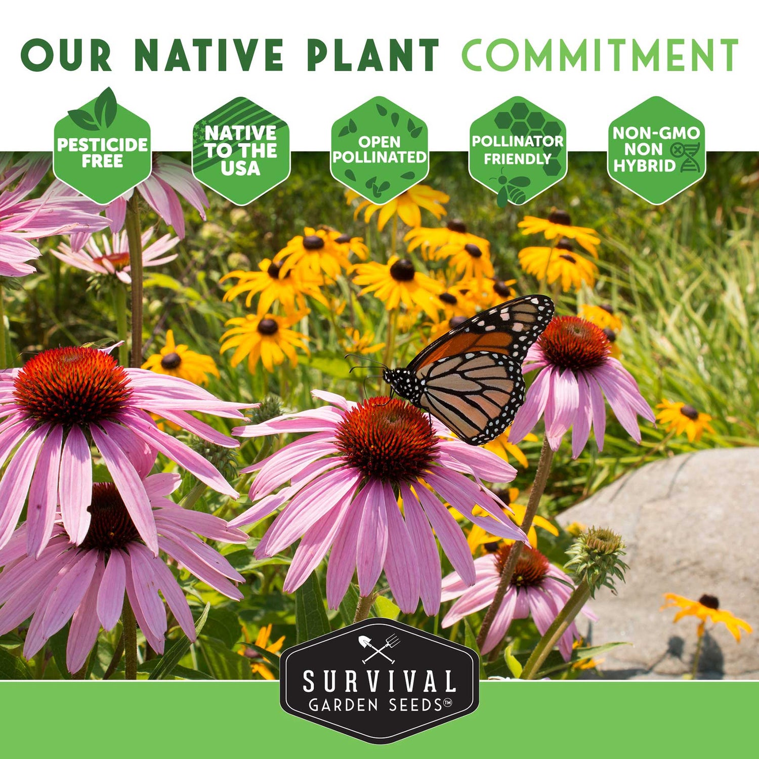 Survival Garden Seeds advertisement with pink and yellow flowers and a butterfly, featuring their commitment to native plants.