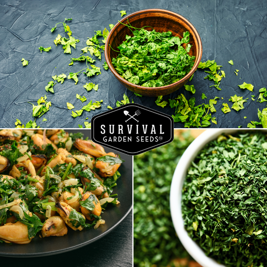 Chopped parsley