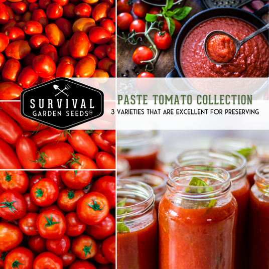 Paste Tomato Collection - 3 varieties that are excellent for preserving