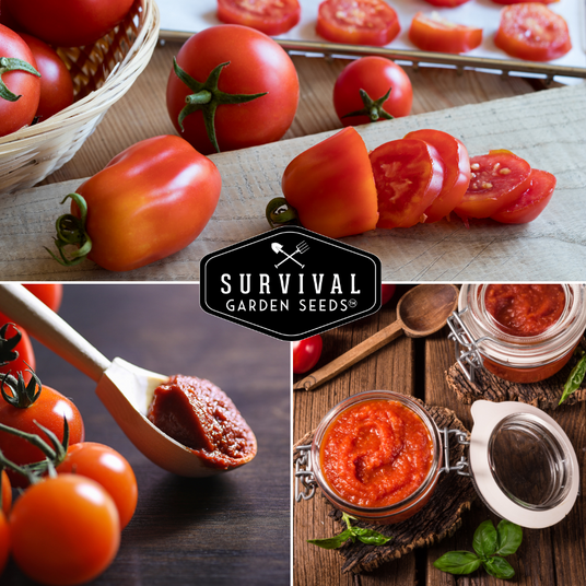 Tomatoes and tomato paste