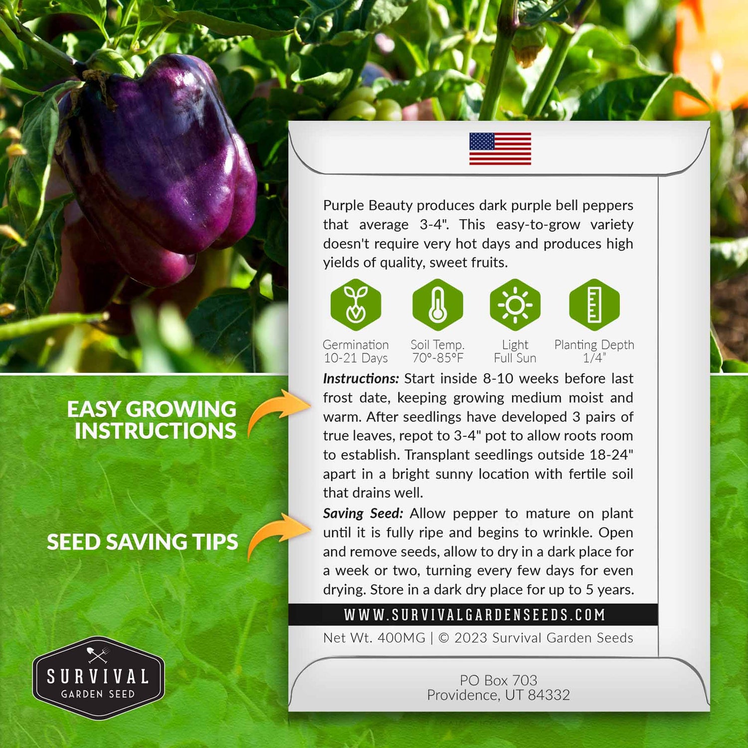 Purple Beauty Pepper seed growing instructions