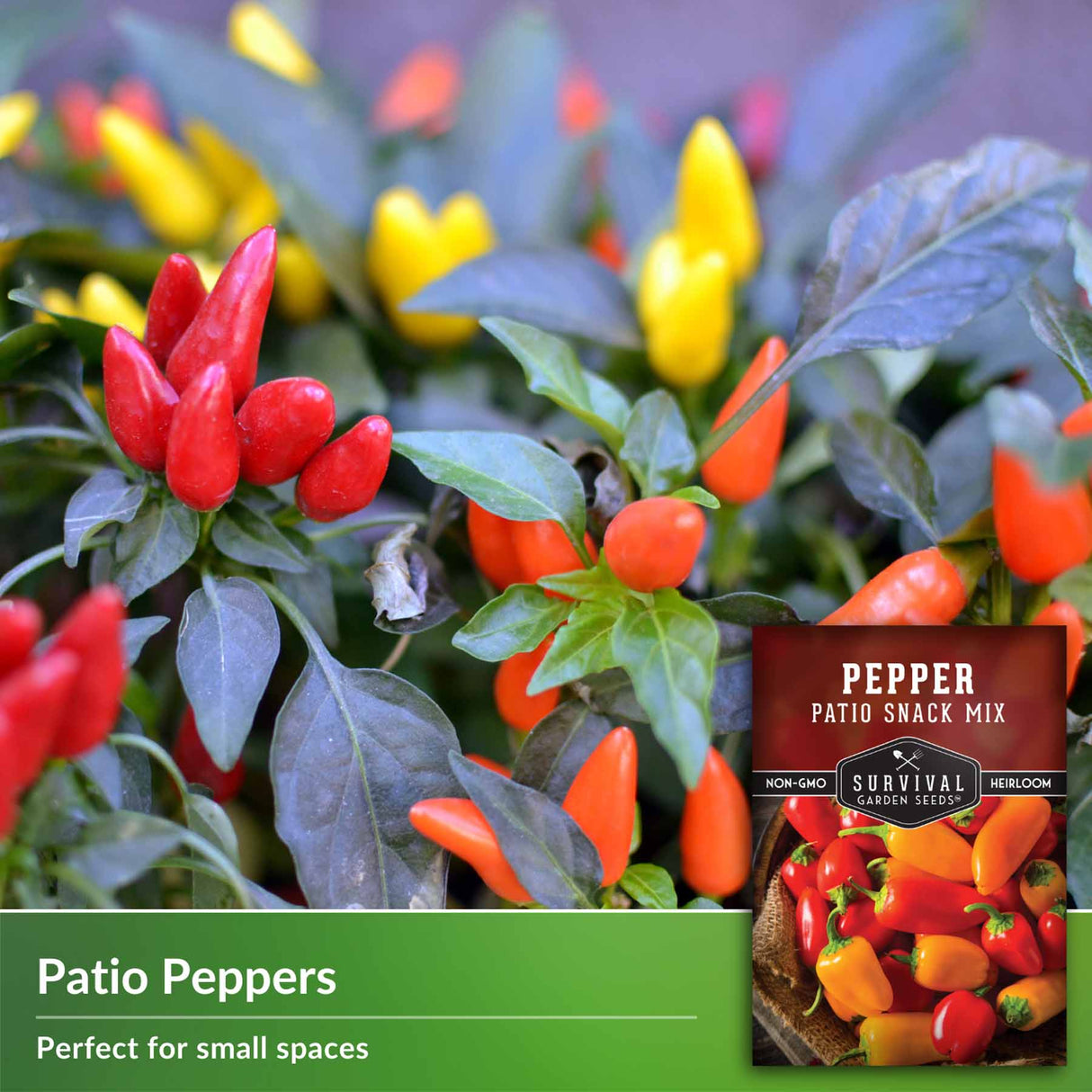 Patio Peppers perfect for small spaces