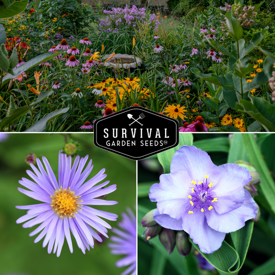 Perennial flower garden
