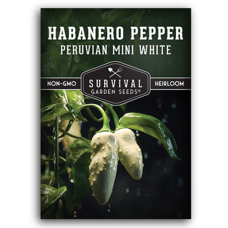 1 Packet of Mini White Habanero Pepper Seeds