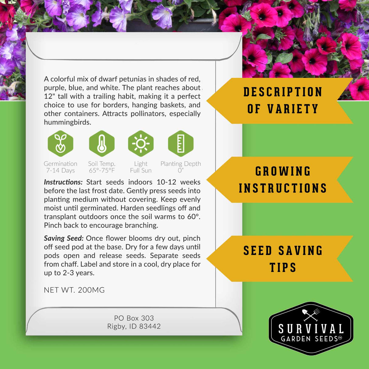 Seed packet back with growing and seed saving instructions