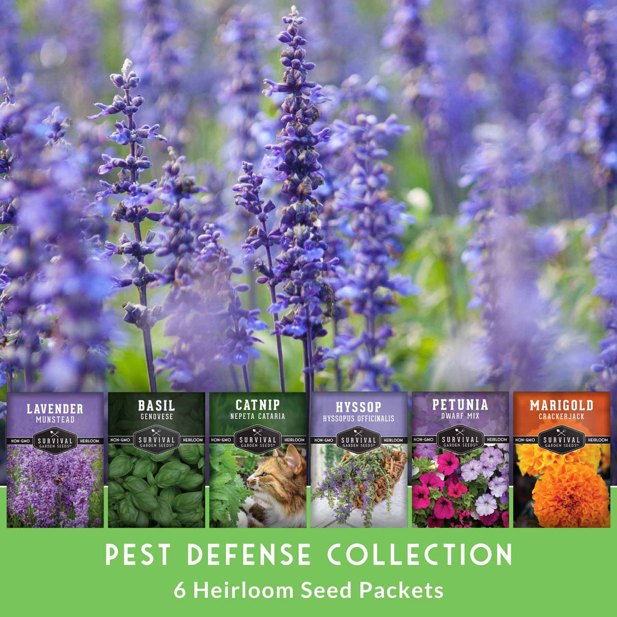 Pest defense collection  - 6 heirloom seed packets