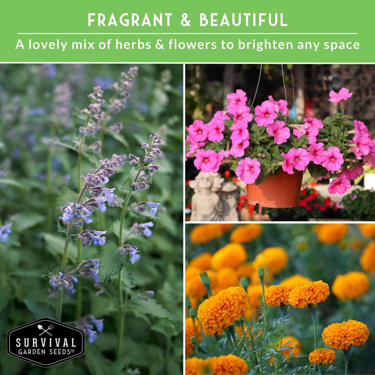 Fragrant and beautiful - a lovely mix of herbs and flowers to brighten any space