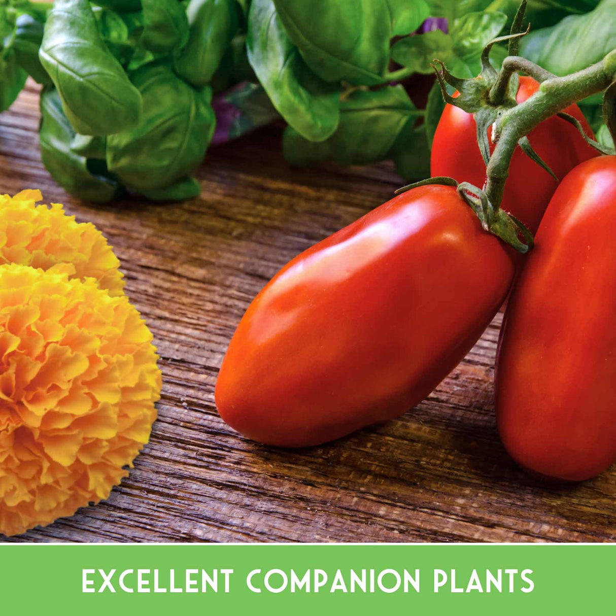 These flowers are excellent companion plants