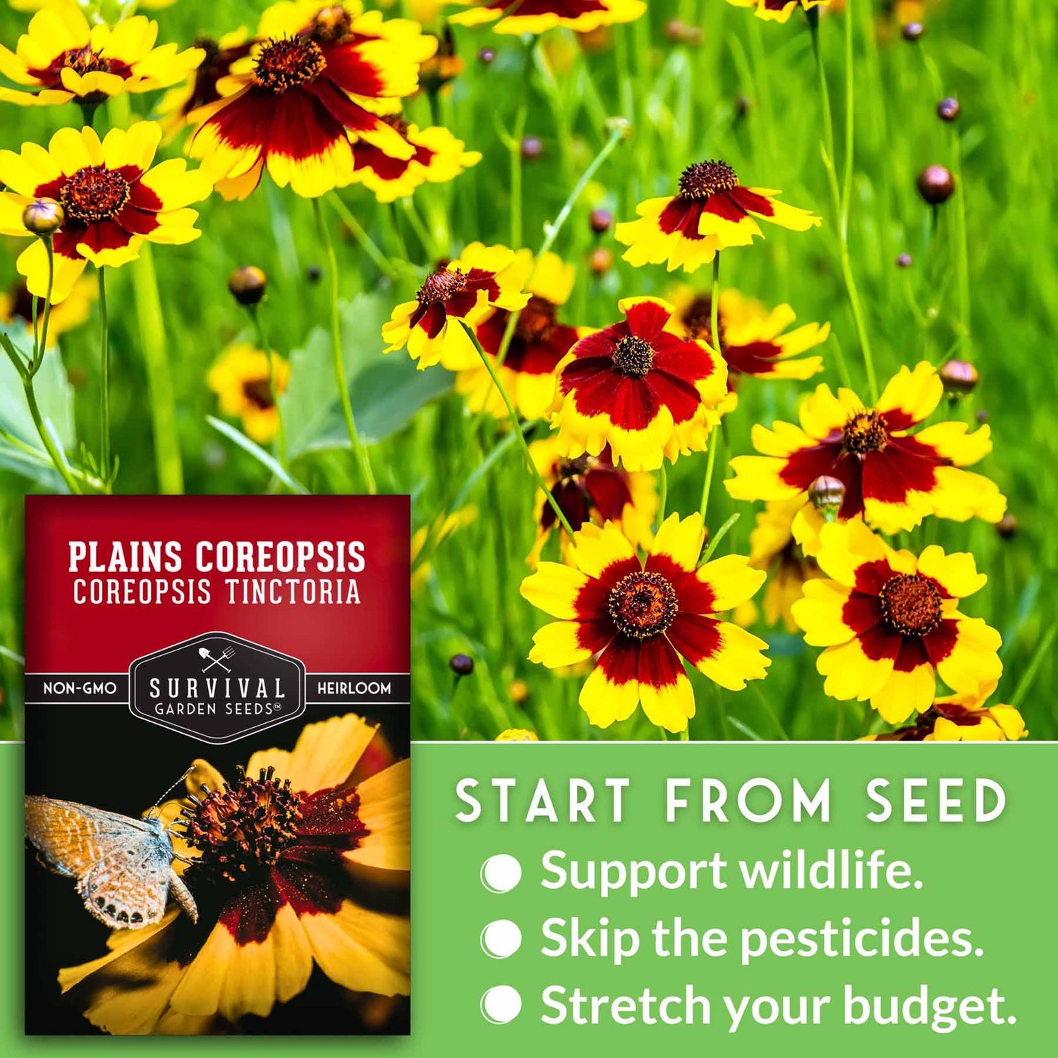 start from seed