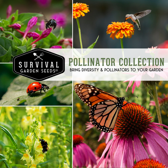 Pollinator Collection - bring diversity to your garden