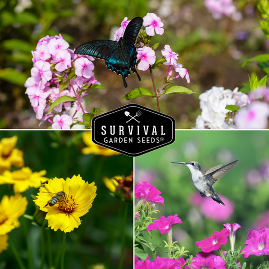 bees, butterflies and hummingbird with flowers