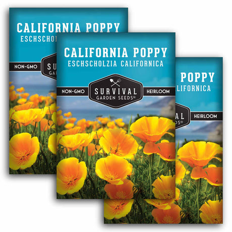 Three packages of Survival Garden Seeds California Poppy with images of poppies on a white background.