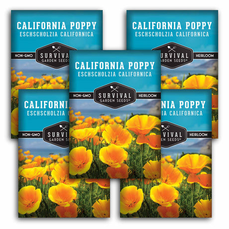 Five packages of Survival Garden Seeds California Poppy Eschscholzia Californica on a white background.