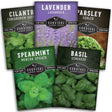 Popular Herb Seed Collection - 5 packets of favorite herbs